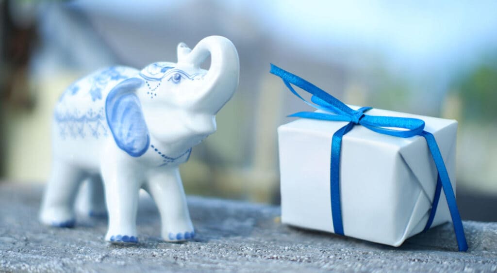 Read more about the article 10 Amusing White Elephant Gift Ideas for Party Animals